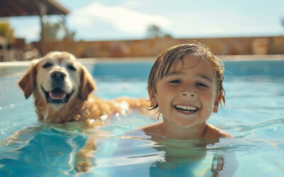 Dreaming of Building a Pool This Summer?