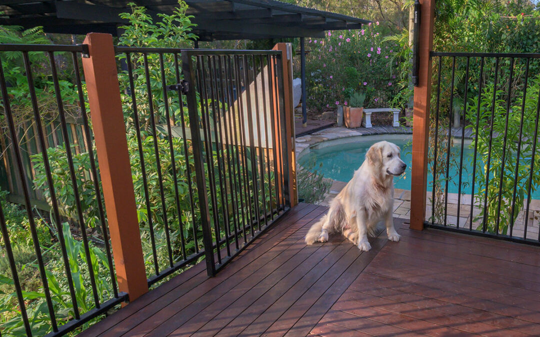 Home Pool Fence with gate open