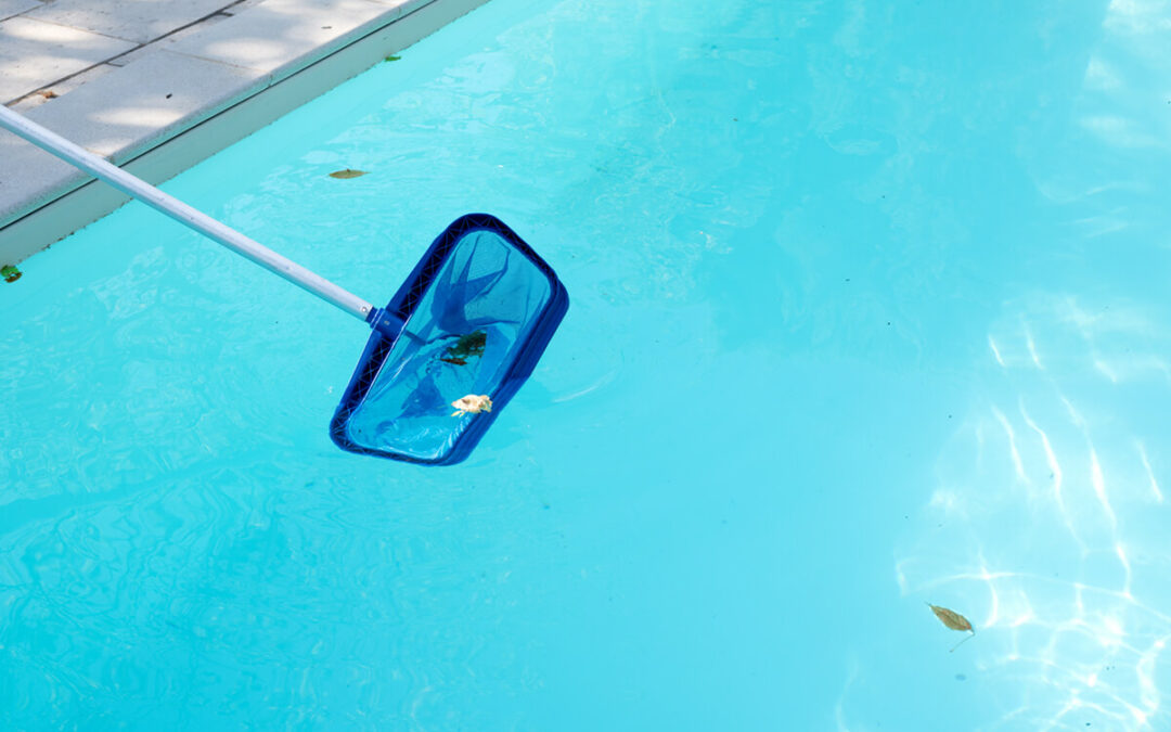 swimming pool cleaning